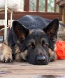 KormosFather_Jake_2007-03_005