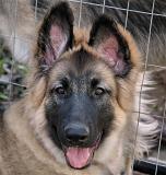 KormosSister_Jet_2007-04_4Months