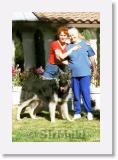 Ildi_Mama_SirMuki_1999Feb_LV22 * Ildi, Mama and Sirmuki - 8 Months old Shiloh Shepherd - in Las Vegas, Nevada - 1999 Februar * 600 x 880 * (80KB)