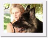 Ildi_SirMuki_2006Aug_LV5 * Ildi and Sirmuki - 8 Years old Shiloh Shepherd - in Las Vegas, Nevada - 2006 August * 800 x 600 * (102KB)