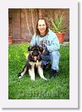 Istvan_Sirmuki_1998Okt_LV21 * Istvan and Sirmuki - 4 Months old Shiloh Shepherd - in Las Vegas, Nevada - 1998 Oktober * 500 x 736 * (71KB)