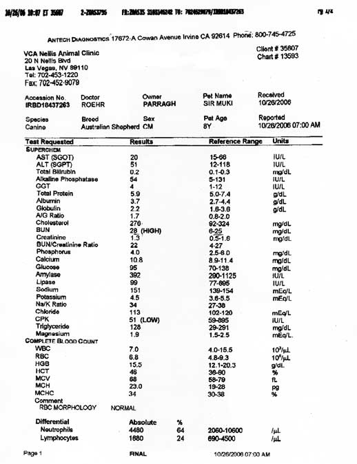 SirMuki - International Shiloh Shepherd Champion - Wellness Report - Click Image to Close